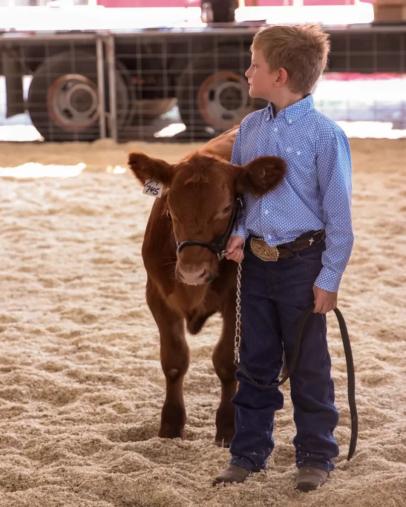 Home Leavenworth County Fair